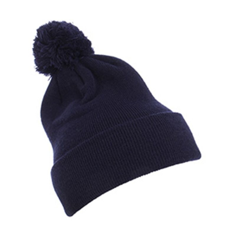 Cuffed Knit Beanie with Pom Pom Thumbnail